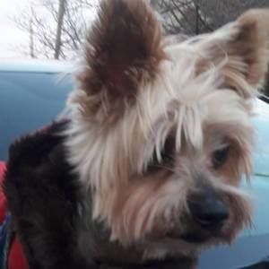 Meet your Posher, Wiola waldek